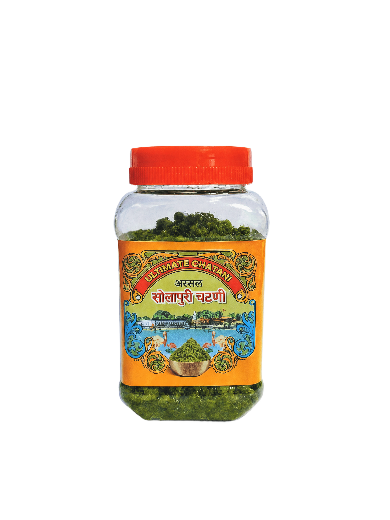 Ultimate Chatani – authentic flavorful chutney made with fresh ingredients